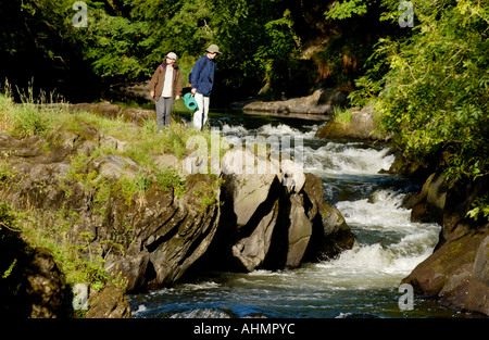 Fluss Teifi bei Cenarth Ceredigion West Wales UK Stockfoto