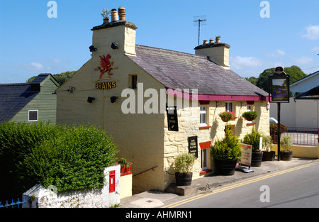 Ferry Inn im walisischen Dorf von St. Dogmaels Pembrokeshire West Wales UK Stockfoto