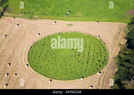Luftaufnahme der Ernte neue Bäume gepflanzt in einem Kreis. Isle Of Wight. UK Stockfoto