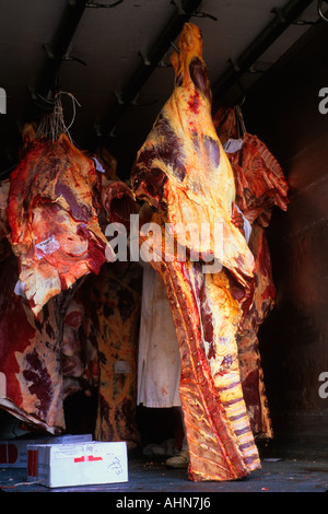 Frankreich Paris, Supermarkt. Fleisch hängt an Haken in Lieferwagen, Lieferwagen oder LKW. Rindfleisch zum Verkauf auf dem Pariser Markt. Lieferung von Lebensmitteln. Stockfoto