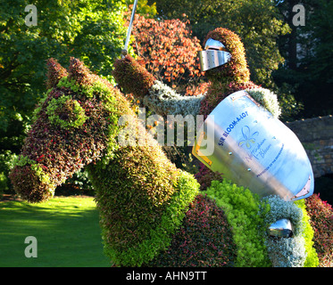 Herr Bloom eine Menge in den Gärten des Nottingham Castle als Teil von Nottingham in voller Blüte, Nottingham UK Stockfoto