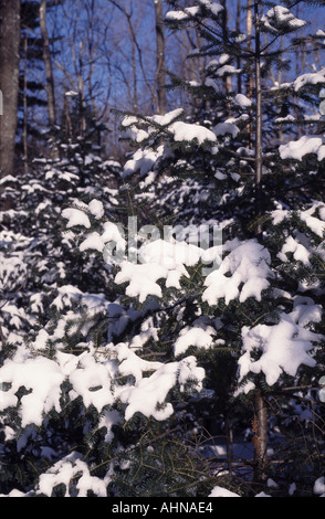 Wisconsin im winter Stockfoto