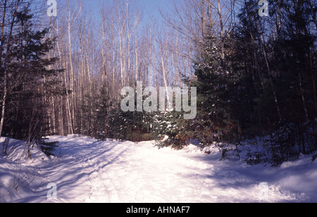 Wisconsin im winter Stockfoto