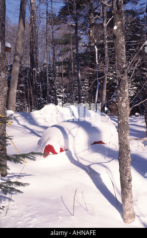 Wisconsin im winter Stockfoto