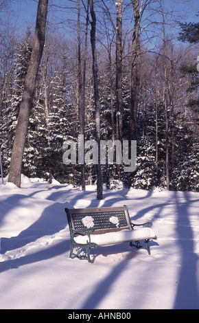 Wisconsin im Winter, Sitzbank Stockfoto