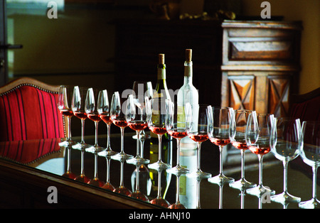 Eine Reihe von Gläsern gefüllt mit Rosé und zwei Flaschen auf einer reflektierenden Tischplatte in der Probierstube Schloss Puech-Haut, Saint-Drezery, Coteaux du Languedoc, Languedoc-Roussillon, Frankreich Stockfoto