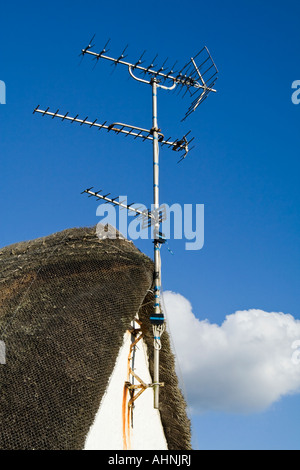 TV-Antenne auf eine strohgedeckte Hütte Stockfoto