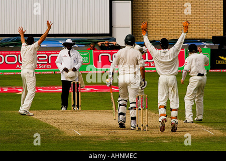 Cricketspieler ist fast während eines Spiels der Cricket, England rollte heraus. Stockfoto