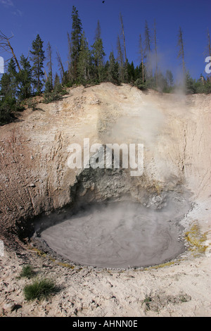 Schlammvulkan im Yellowstone-Nationalpark, Wyoming, USA Stockfoto