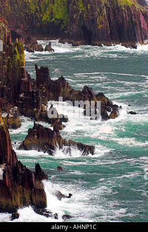 County Kerry Irland Dingle Halbinsel Wellen Absturz gegen den steilen Klippen der Bucht von Dingle auf der Dingle-Halbinsel Stockfoto