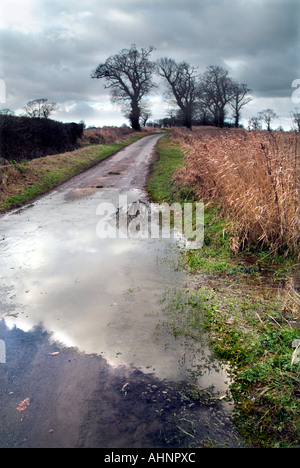 Überfluteten Landstraße Sotterely Suffolk England Stockfoto