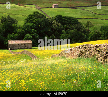 Stein, Scheunen und Wildblumenwiesen, nahe Thwaite, Swaledale, Yorkshire Dales National Park, Yorkshire, England, Vereinigtes Königreich Stockfoto