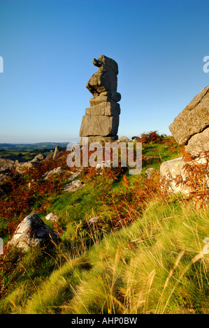 Bowermans Nase Granit Felsformation in der Nähe von Hayne hinunter auf Dartmoor bei Sonnenuntergang Stockfoto