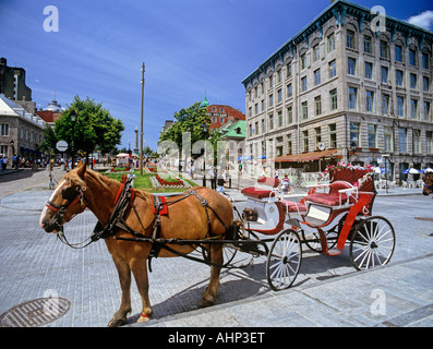 Quebec Montreal [Place Jacques Cartier] Stockfoto