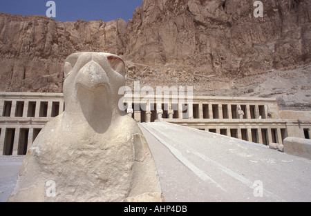 Steinstatue Gottes Horus Falke Hatshepsuts Nekropole in Deir el Bahri Theben Luxor Ägypten Stockfoto