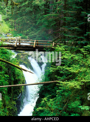 Sol Duc fällt Olympic Nationalpark Washington Stockfoto