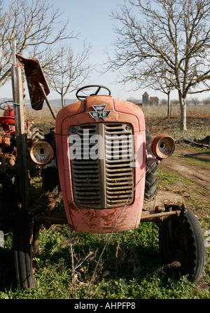 Alten Traktor Massey Ferguson Stockfoto