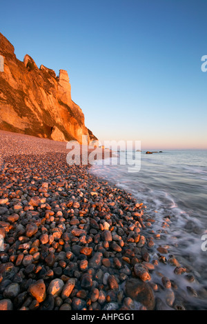 Bier Kopf, Bier, Devon, England Stockfoto