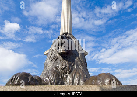 Weitwinkel-Ansicht eines bronzenen-Löwen an der Basis des vor kurzem gereinigt Nelsonsäule in Trafalgar Square hautnah. Stockfoto