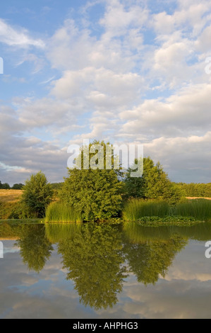Ruhigen Sommertag an einem See zum Angeln mit der Spiegelung des Himmels und der Vegetation auf dem Wasser. Stockfoto