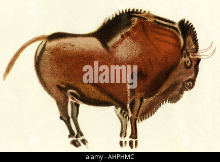 Prähistorische Höhle Gemälde von Bison Altamira Spanien. Farblithographie Stockfoto