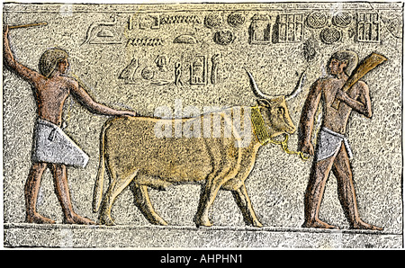 Heiliger Stier des alten Ägypten in bas-relief. Hand - farbige Holzschnitt Stockfoto