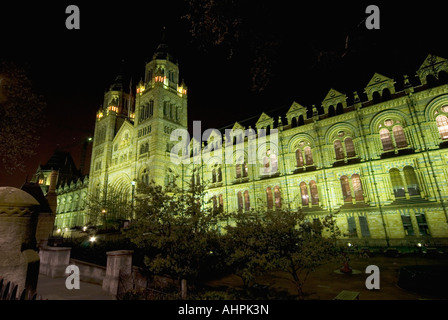 Natural History Museum in der Nacht, London Stockfoto