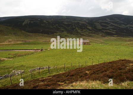 Bauernhaus in Helmsdale Flusstal, Nw. Highland, Schottland Stockfoto