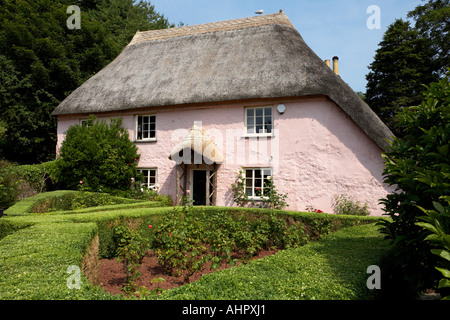 traditionelle rosa lackiert englischen Cottage Cockington Torquay Torbay Devon England Europa uk Stockfoto