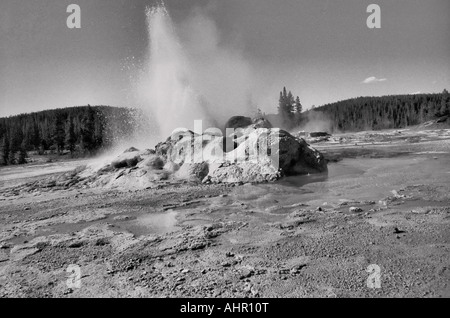 Yellowstone-Nationalpark, Wyoming, USA. Geysir ausbrechen. UNESCO-Weltkulturerbe. Stockfoto