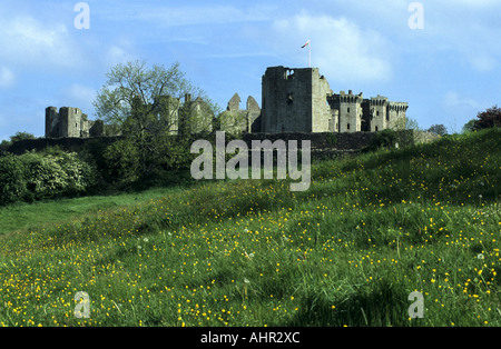 Raglan Castle, Monmouthshire, Wales, UK Stockfoto