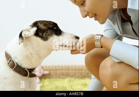 Hund mit liebevollen Besitzer Stockfoto