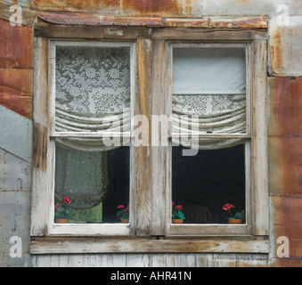 Geranien spähen aus verhangenen Fenstern in Colorado Ghost Town von St. Elmo. Stockfoto