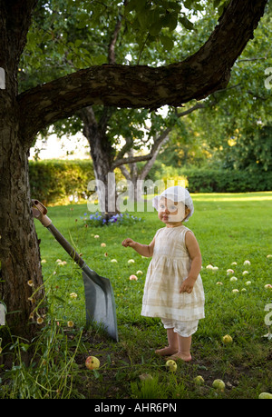 Kleinkind in einem Apfel-Baum-Garten Stockfoto