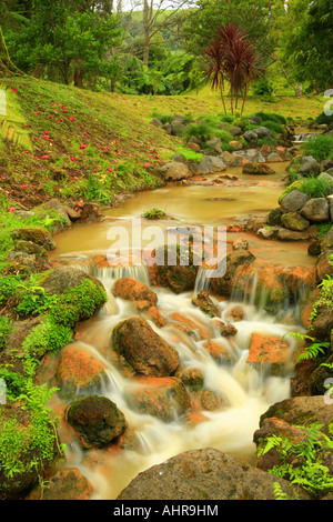 Strom von Eisen Gewässer in Terra Nostra Park Furnas Sao Miguel Island Azoren Portugal Stockfoto