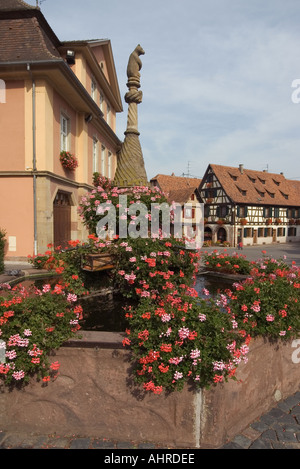 Brunnen mit den Blumen mit alten Fachwerkhäusern hinter bei Dambach im Elsass Stockfoto