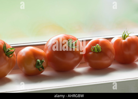 Tomaten Reifen auf der Fensterbank Stockfoto