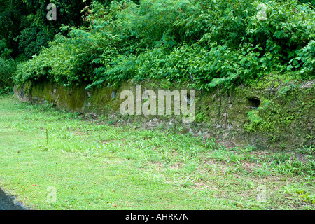 Betonbunker mit tausend Mann Höhle japanische WWII Krieg Betonbunker Ruinen Peleliu Palau verbunden Stockfoto