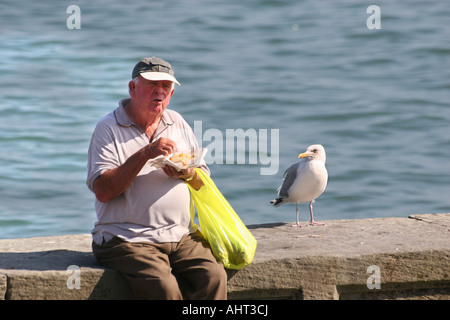 Mann isst Fisch und Chips am Deich mit Silbermöwe, die darauf warten, gefüttert werden. Stockfoto