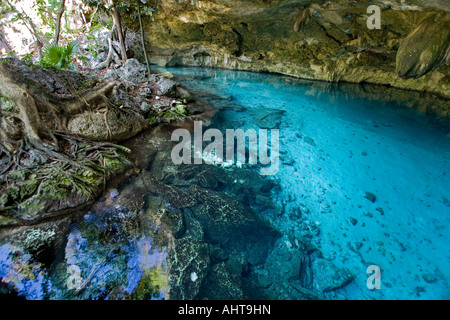 Die Cenote "Zwei Augen" auf der Yucatán-Halbinsel (Mexiko). Cénote Dos Ojos (Quintana Roo, Péninsule du Yucatán, Mexiko). Stockfoto