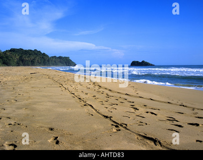 PUERTO VIEJO COSTA RICA Mittelamerika August Fußabdrücke sind die einzigen Anzeichen von Leben auf der einsamen Playa Cocles Stockfoto