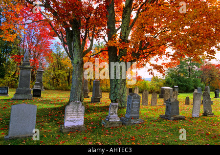 Friedhof und Ahorn Bäume 7 Stockfoto