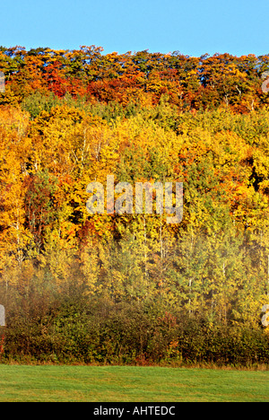 Herbstfarben Sie in New Brunswick 9 Stockfoto