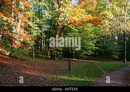Ein landschaftlich reizvoller Park, umgeben von lebhaften Herbstbäumen mit goldenem und grünem Laub unter klarem blauem Himmel. Stockfoto
