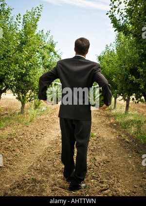 Mann mit zwei Melonen im Obstgarten Rückansicht. Stockfoto