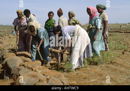 Terrassierung von Land Bodenerosion im Norden Äthiopiens zu verhindern Stockfoto