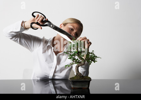 Junge Geschäftsfrau am Schreibtisch Rückschnitt Bonsai-Baum. Stockfoto