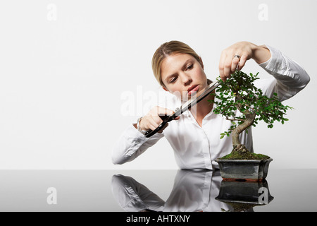 Junge Geschäftsfrau am Schreibtisch Rückschnitt Bonsai-Baum. Stockfoto