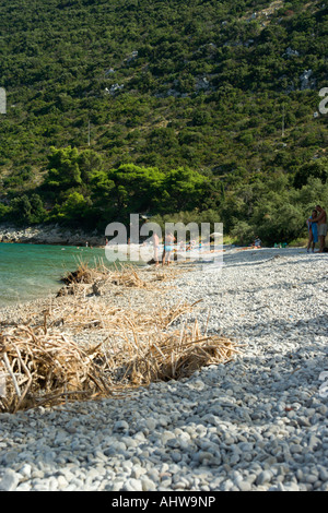 Duba Peljeska Strand Kroatien Stockfoto