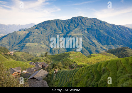 Longshen terrassierten Reisfelder Guilin Guangxi China Stockfoto